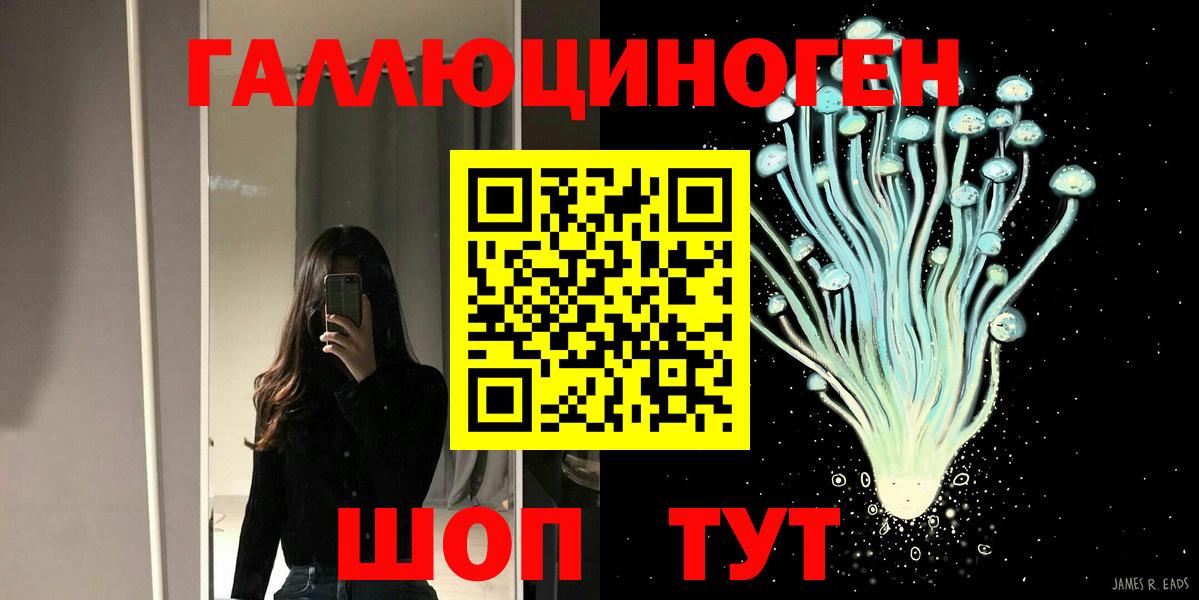Тверь  Псилоцибиновые грибы Cubensis  Вход с VPN 